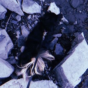 Meet your Posher, Angie